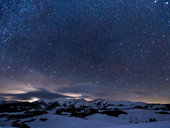 Zuperla Premium WordPress Themes